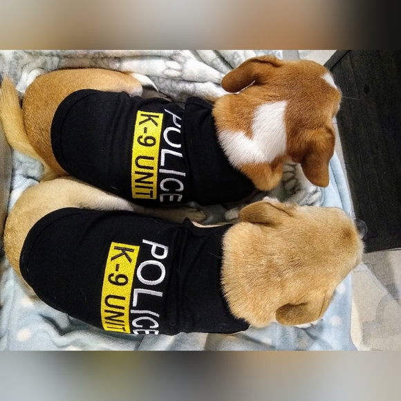 Meet your Posher, Beth - Picture 6 of 13